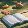 Lectures d’Évangile, atelier biblique, l’après-midi • Hiver 2023