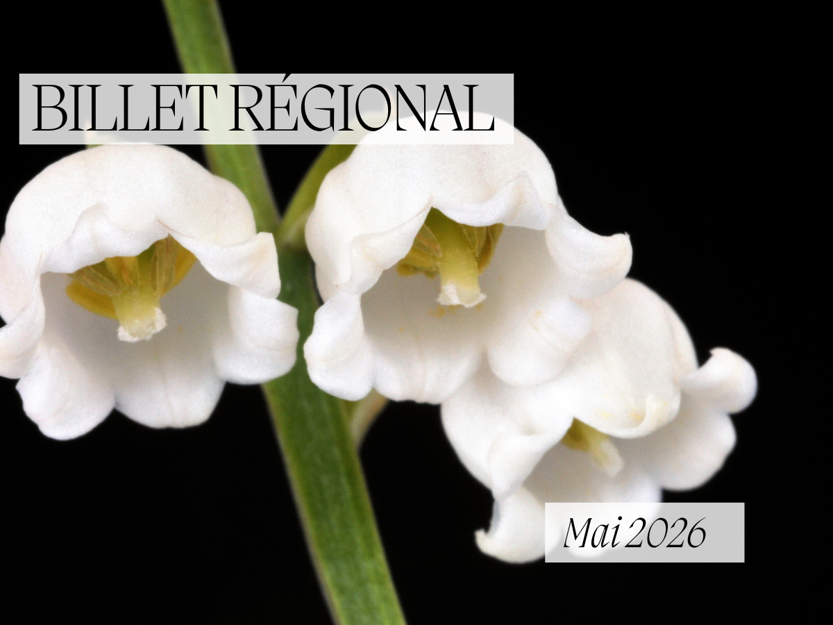 https://region-est-montbeliard.epudf.org/wp-content/uploads/sites/6/2025/05/Billet-regional-PPest-mai-26.png